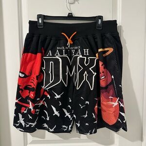 Aaliyah & DMX Shorts